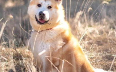 Milo